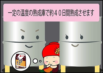 一定の温度の熟成庫で約40日間熟成させます